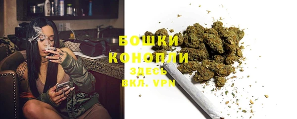 бошки Осинники