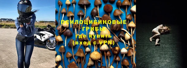 не бодяженный Осташков
