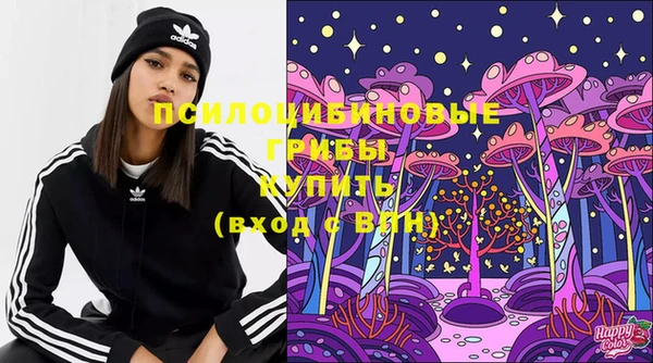 не бодяженный Осташков